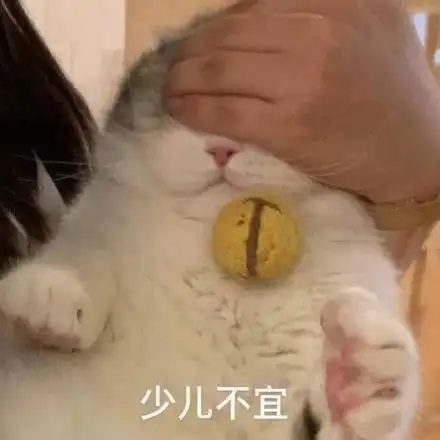 少儿不宜(猫咪表情包)_猫咪_少儿不宜表情