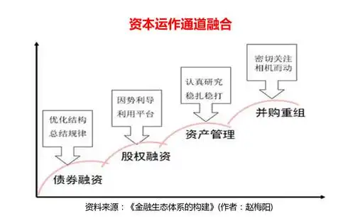 原创【兆瑞智库】赵梅阳:如何看懂资本运作