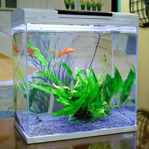 鱼缸兴润直角高清玻璃水族箱免换水小型家用裸缸风景金鱼造景懒人