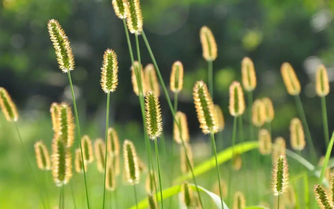 顾夕谢时屿&顾夕谢时屿&顾夕谢时屿&顾夕谢时屿抖音小说全文阅读