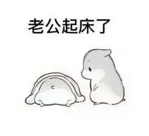 老公起床了 - 斗图表情包 - 爱逗图