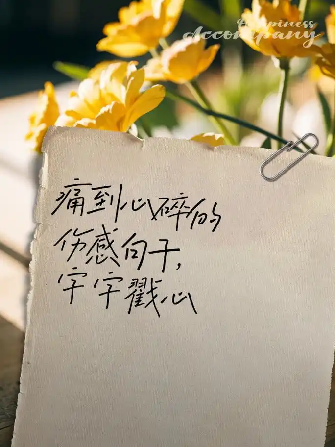 痛到心碎的伤感句子,字字戳心