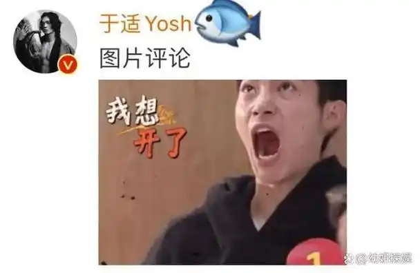 回复粉丝的评论里,自己的丑图表情包满天飞.