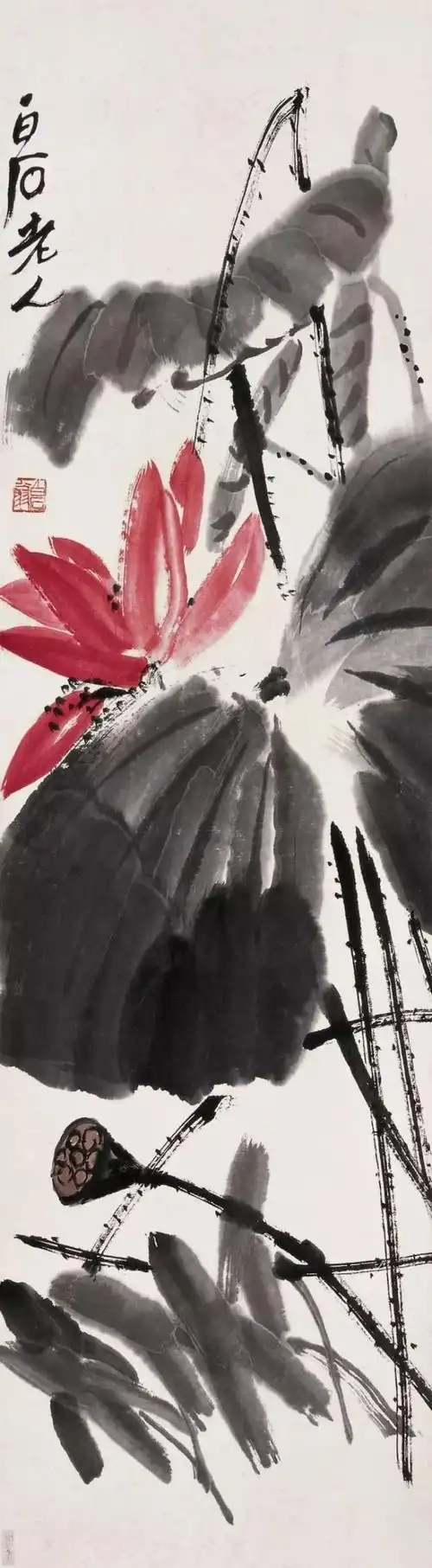 齐白石 荷花作品辑录_网易订阅