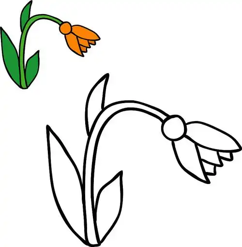 孤立花涂色书图片