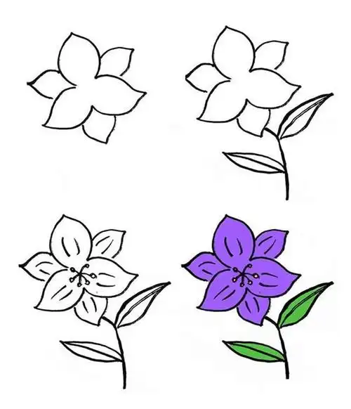 一大波漂亮的花朵简笔画画法步骤图