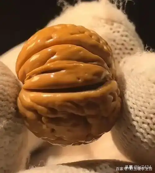 野三坡野生山桃核和楸子核桃