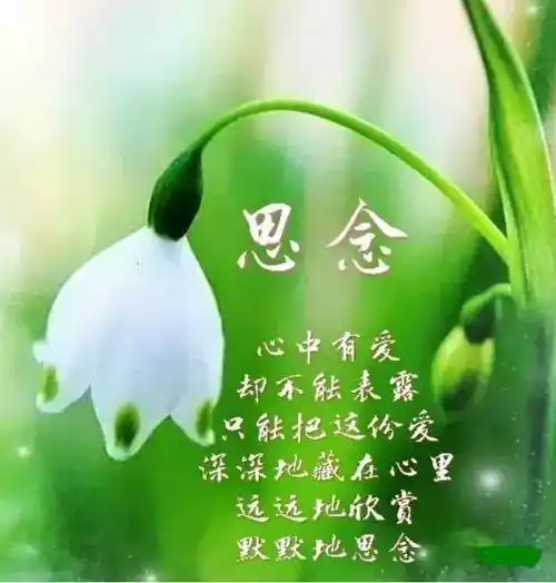 爱上一个人容易,放下一个人却很难.