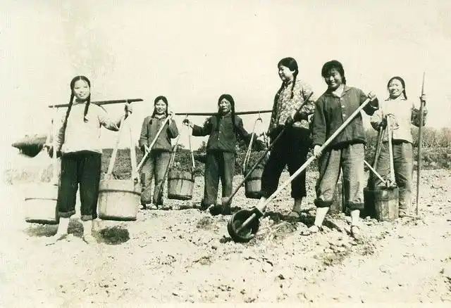 一组女知青珍贵老照片:养猪,喂羊,能种田,长相美丽又能干