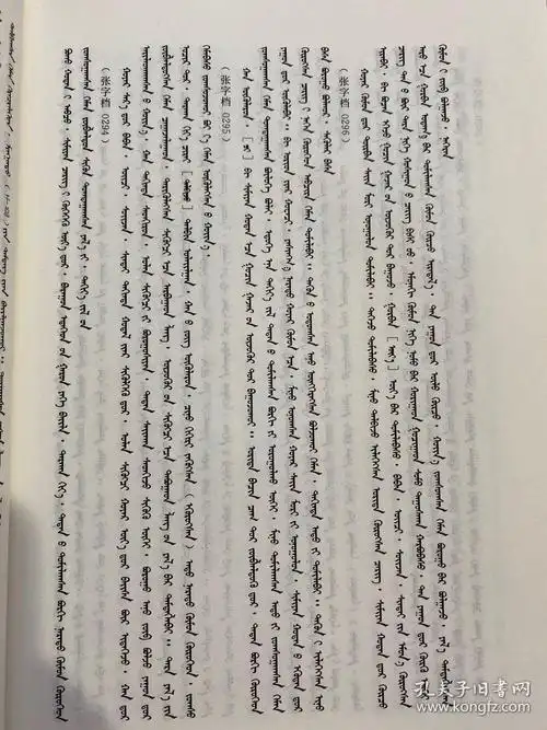 新译满文原档 蒙文文献资料 具有超高的研究价值