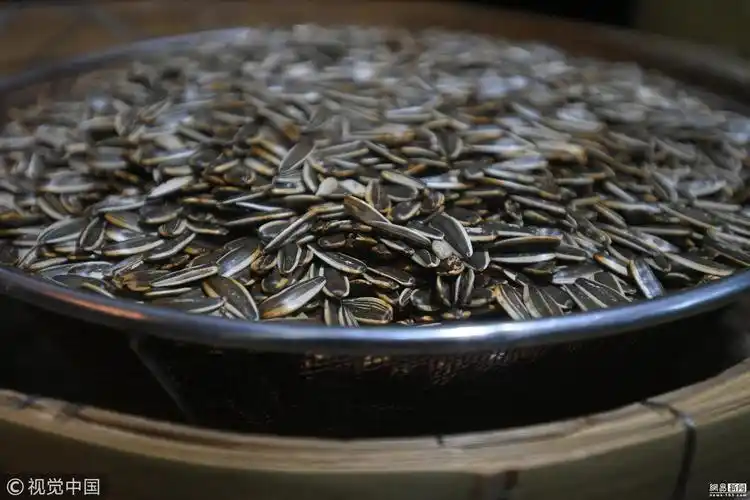 乞讨到打工 她靠炒瓜子为儿子攒救命钱 (5/6)