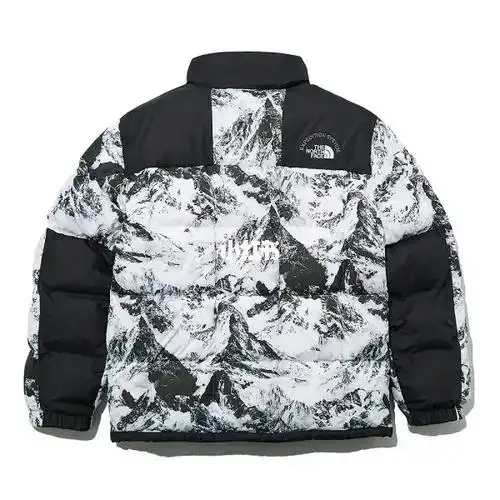 tnf 北面1990雪山限定retro lhotse冬季羽绒羽服.