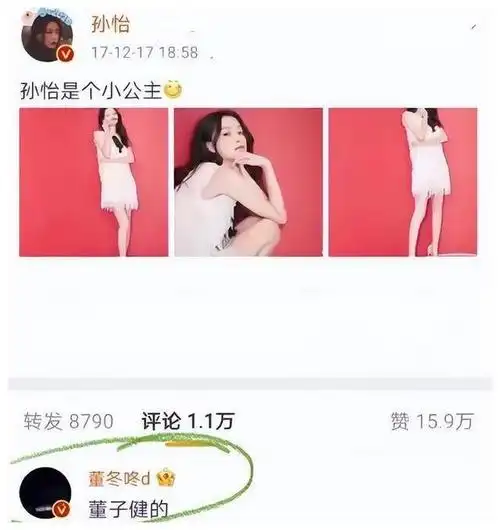 孙怡董子健离婚真相是娱乐圈的残酷还是家庭的无解矛盾
