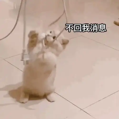 88个回复消息很慢表情包动态图合集,怼女朋友不回复消息表情包,怼对方