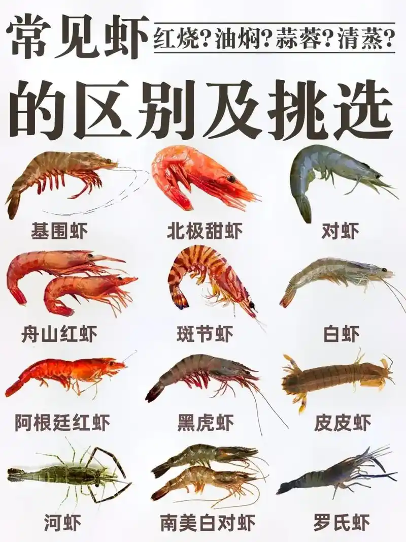 抖音图文来了 常见虾分类.#抖音好物年货节 #知识分享 # - 抖音
