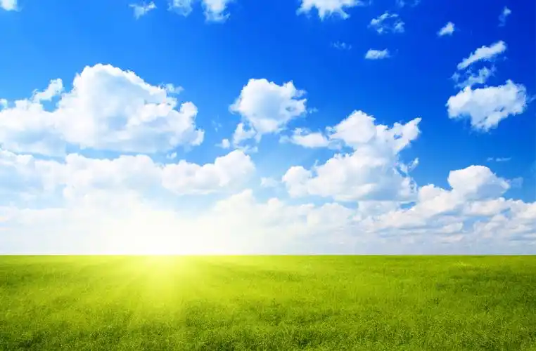 立春 春天背景清新明亮自然风景春天蓝天白云阳光下一望无际广阔草地