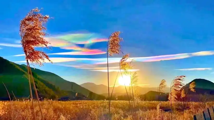 丽江上空的彩云