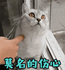 莫名失落图片_莫名失落动态图_莫名失落表情包gif动图下载_soogif