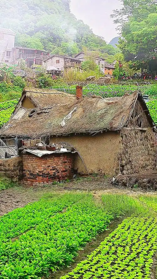 乡村田野美景,菜园里的茅草房!