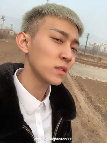 快手鹤轩,邯郸龙头鹤轩个人资料