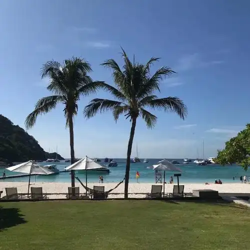 阔爱婷の抠图素材の主页图の文字背景