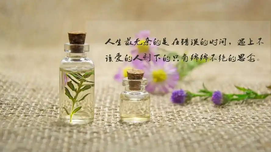 伤感,无奈,清新,文艺,静物,带字,电脑壁纸,壁纸伤感心累无奈的说说