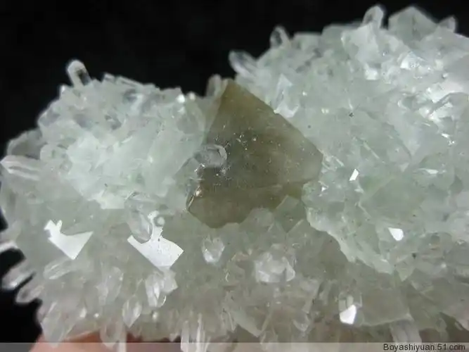 白钨词条图册_百度百科