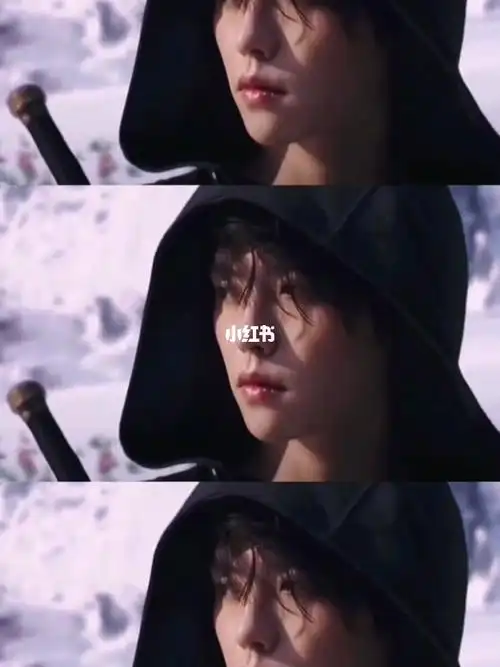 那一次沙海雪山回眸我记了好久好久