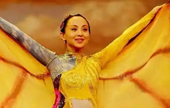 "千手观音"邰丽华2岁失聪,儿子健全老公宠爱,人美心善有好报_舞蹈_杨