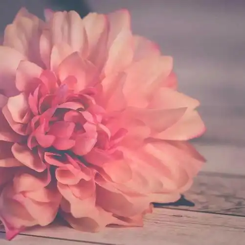 2020精致简约背景图片简约唯美的微信朋友圈背景图