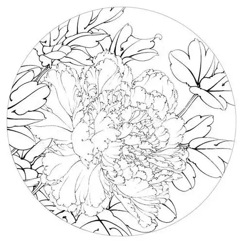 高清工笔牡丹白描 158幅(下)喜欢的收藏关注