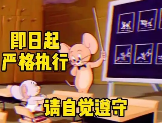 新家规了解一下表情包