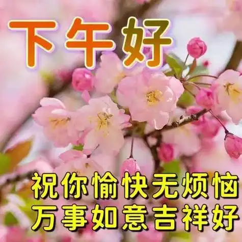 下午图片大全下午好图片最新版下午好问候下午好祝福祝健康幸福