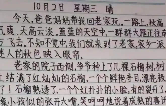 小学生印刷体试卷走红练好字有没有用好字体能加分