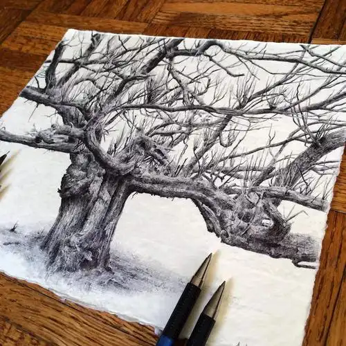 这些精微素描全都是用自动铅笔 黑色圆珠笔勾勒出来的精湛的笔触,细致