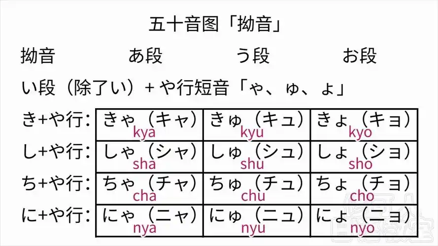 1分钟速记五十音图又来啦!拗音的背诵口诀!
