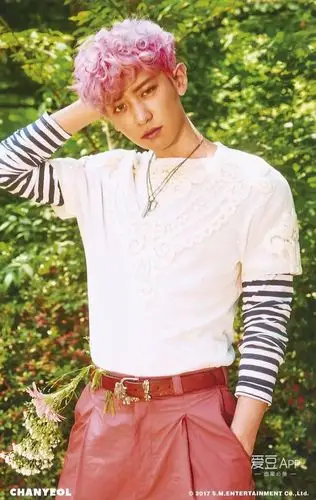 exo 朴灿烈 壁纸 画报 四辑回归《kokobop》《前夜》