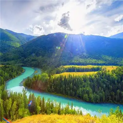 能带来财运的微信头像