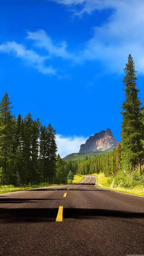 发一些唯美的1440*2560竖屏壁纸,可以打包下载