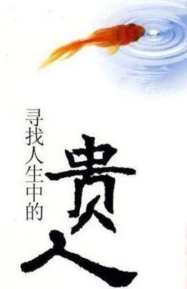 1981年鸡贵人属相是哪个