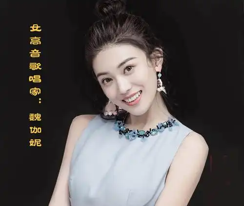 笙演奏家, 2005年于中国戏曲学院戏剧场成功举办了"个人独奏音乐会"