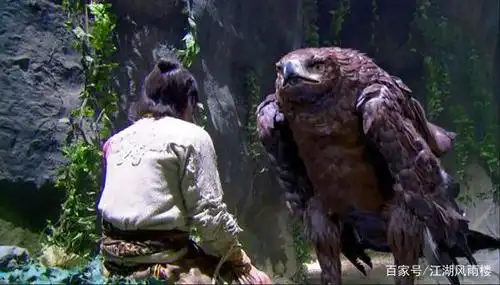 哪版"雕兄"才是杨过的最爱?有的凶恶,有的温顺,有的直接变异