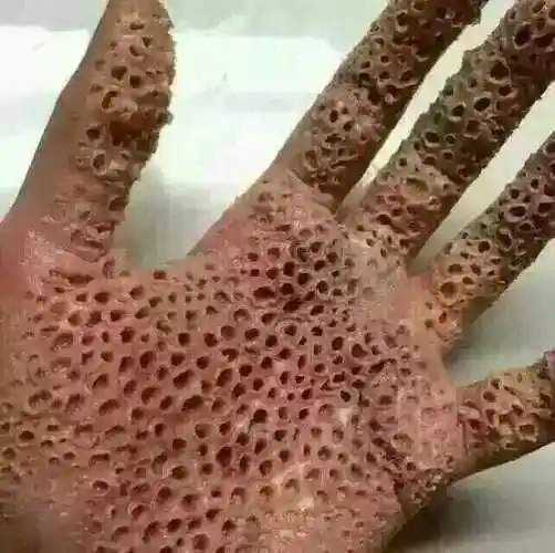 你看过的最细思极恐的图片是什么?