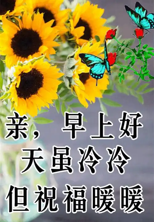 非常漂亮的早上好动画祝福语图片温馨的冬日早安问候语简短