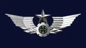 陆军 胸标 徽章 三维 高清 带通道视频素材