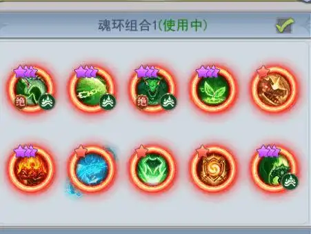 大佬们帮忙看下魂环搭配