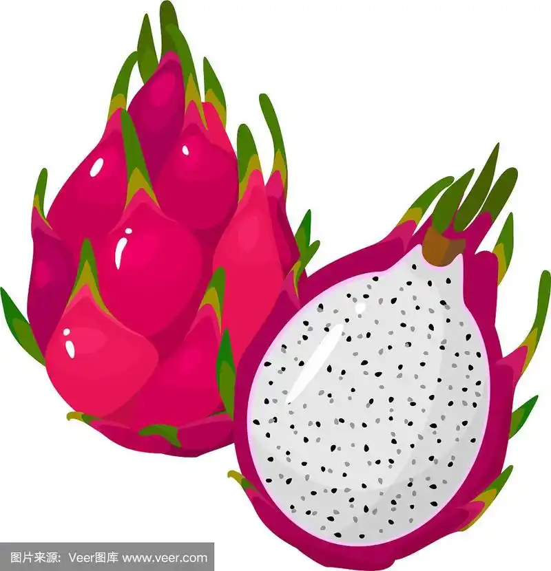 卡通鲜红的火龙果孤立在白色