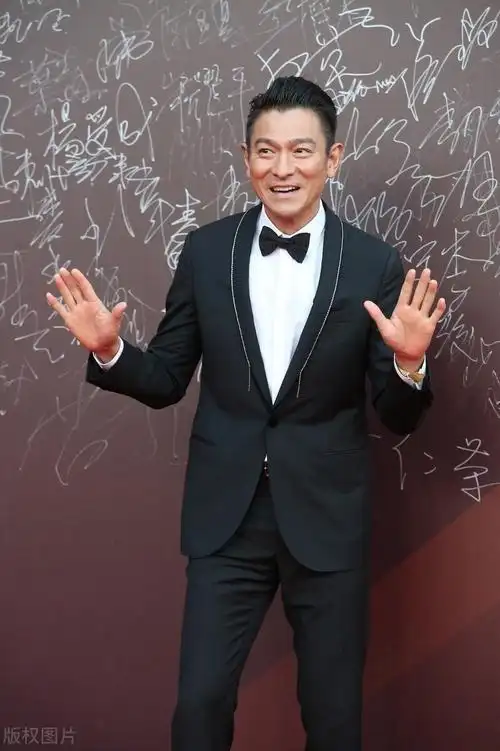 刘德华十大经典歌曲排名(盘点刘德华演唱的好听经典歌曲) 图6