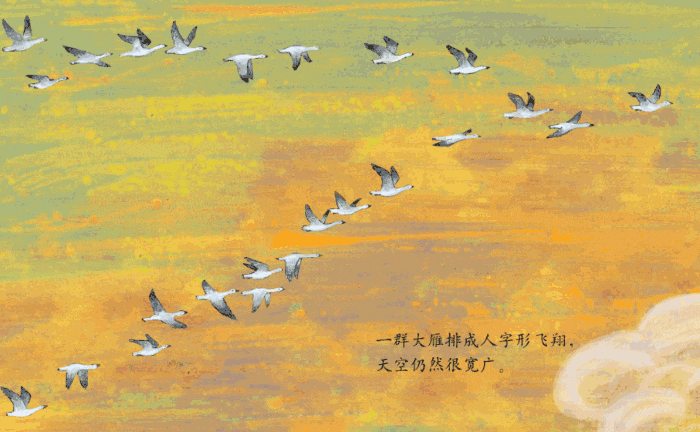 忠贞不渝的象征鸿雁会迁徒的鸟正在南飞大开眼界
