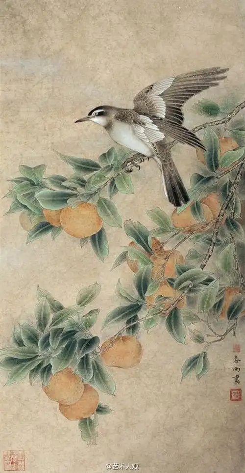 薄春雨花鸟工笔画